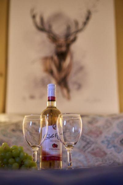 Kohutowka Wynajem Pokoi Appartement Bukowina Tatrzańska Buitenkant foto